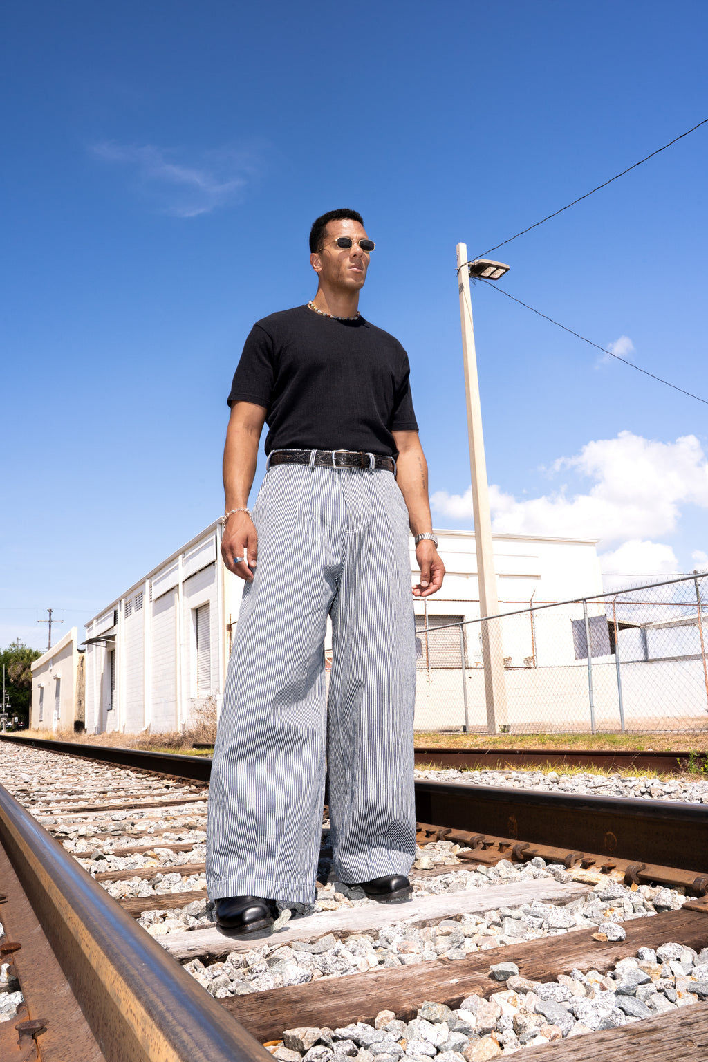 Pinstripe Double Pleated Pants