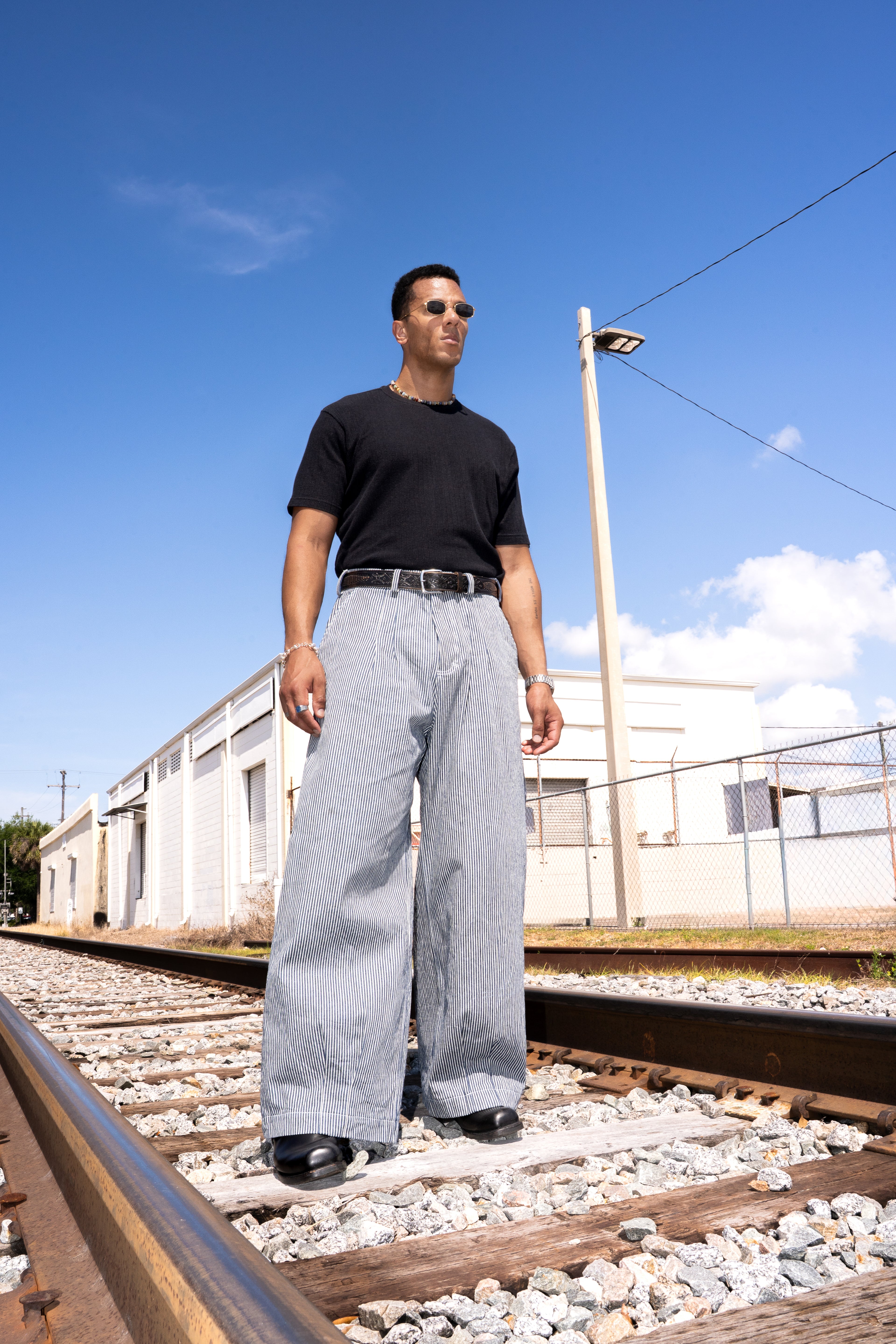 Pinstripe Double Pleated Pants