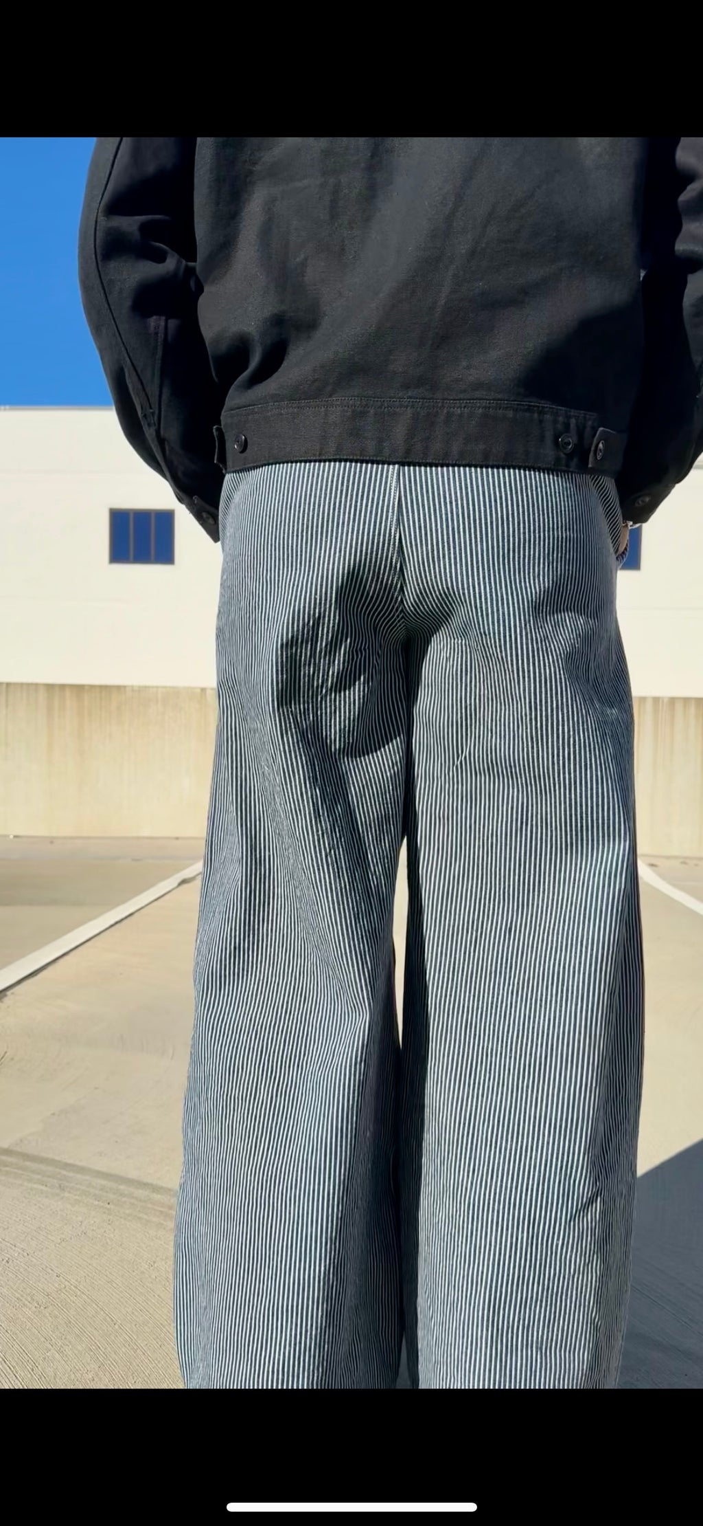 Pinstripe Double Pleated Pants