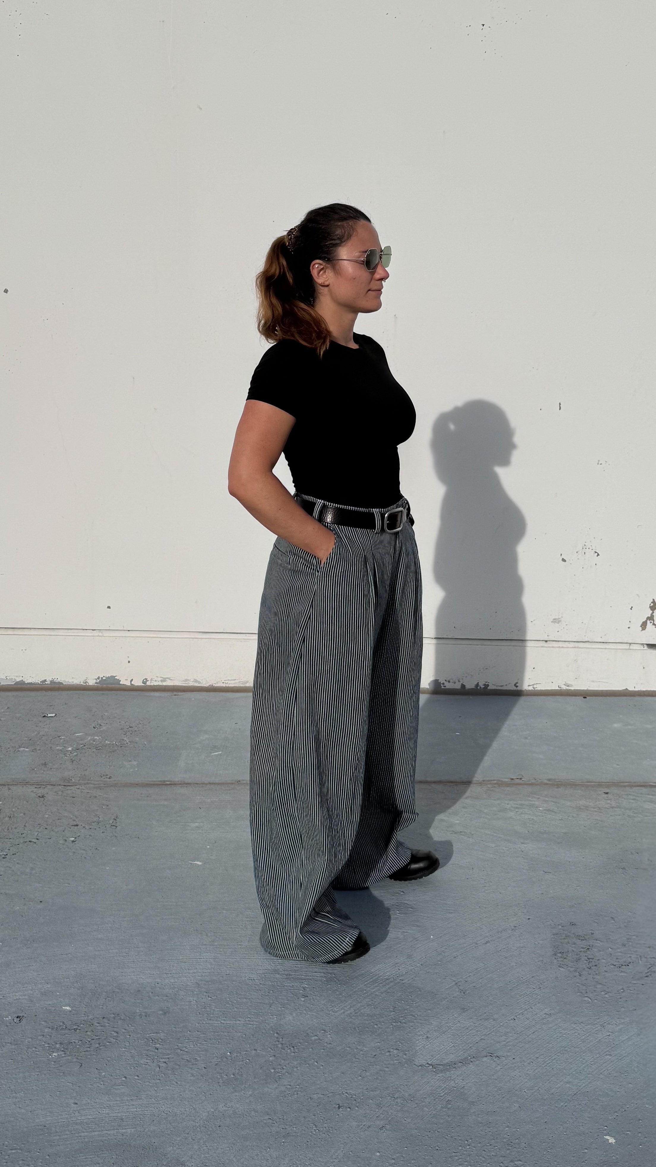 Pinstripe Double Pleated Pants - Womens