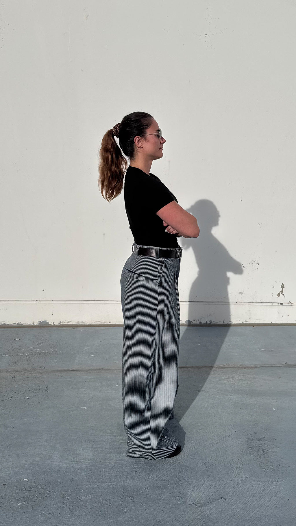 Pinstripe Double Pleated Pants - Womens