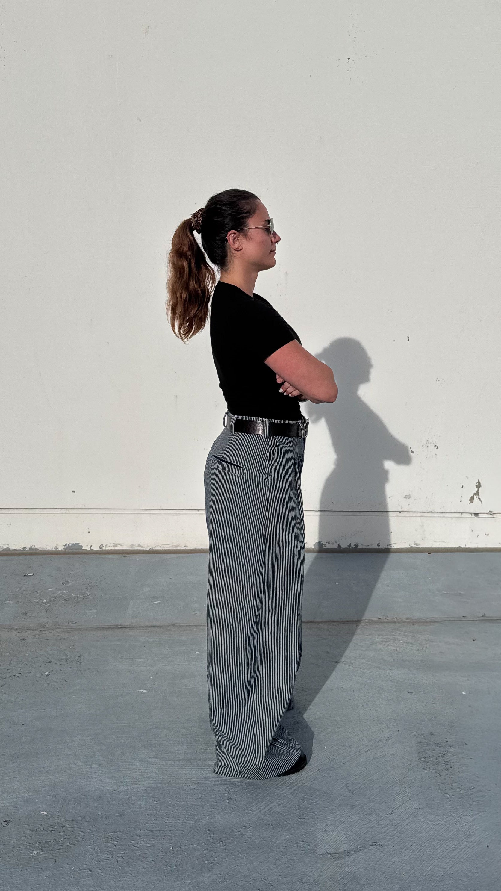 Pinstripe Double Pleated Pants - Womens
